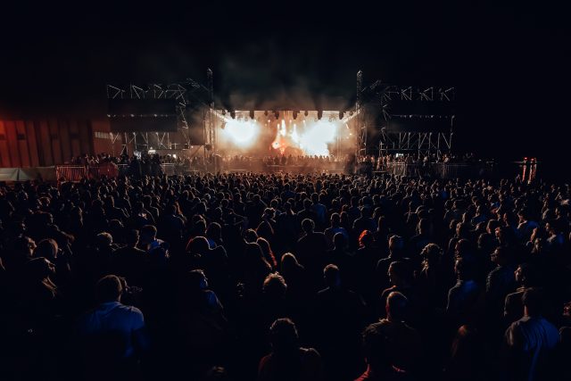 Istorijski trenutak: Bonobo u Beogradu – Pogledaj Foto Galeriju — 13